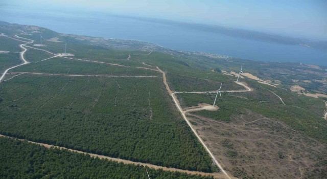 Çanakkalede 2008 yılında küle dönen alan dikilen 2 milyondan fazla fidanla yeniden yeşillendi