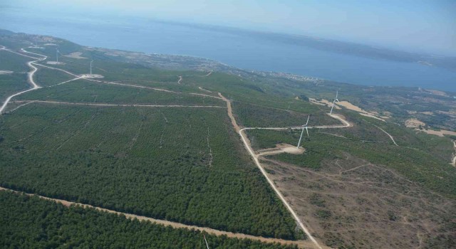 Çanakkalede 2008 yılında küle dönen alan dikilen 2 milyondan fazla fidanla yeniden yeşillendi