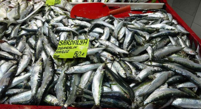 Çanakkalede geçen sene kilosu 70 lira olan sardalya, 50 liradan tezgahlarda