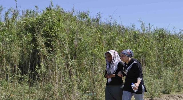 Ceyhan Nehrinde kaybolan çocuk 3 gündür aranıyor