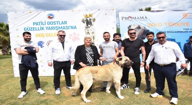 Ceyhanda Patili Dostlar Güzellik Yarışması