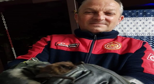 Çiftlikköyde itfaiyeden hayvan kurtarma operasyonları