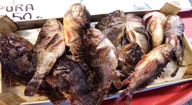 Çirkin Kral kilosu 60 liradan satıldı