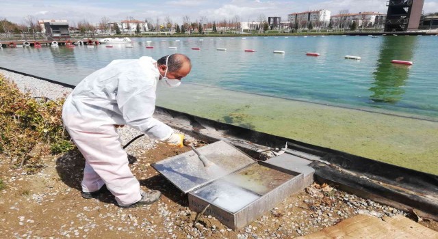 Çorumda vektörel mücadele çalışmaları sürüyor