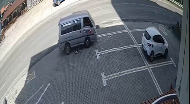 Dikkatsiz sürücü köpeği ezdi, yoluna devam etti