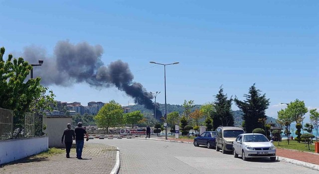 Dolgu alanındaki yangın korkuttu