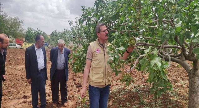 Dolunun vurduğu tarım arazilerinde hasar tespiti başladı