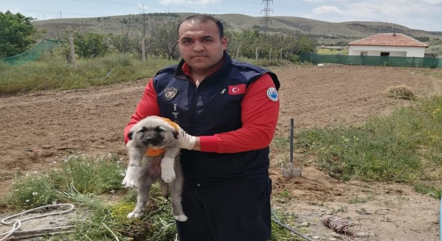 Düştüğü çukurda sıkışan yavru köpeği itfaiye ekipleri kurtardı