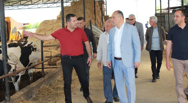 Düziçi Kaymakamı İlhan, hayvan çiftliğini ziyaret etti