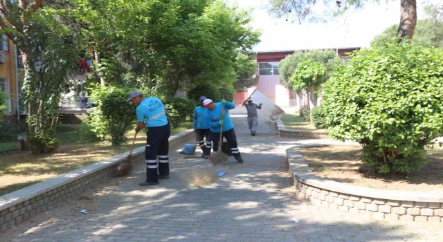 Efelerde yabani ot temizliği gerçekleştirildi