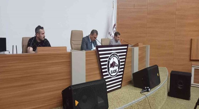 Elazığ İl Özel İdaresporda Ali Şiş dönemi