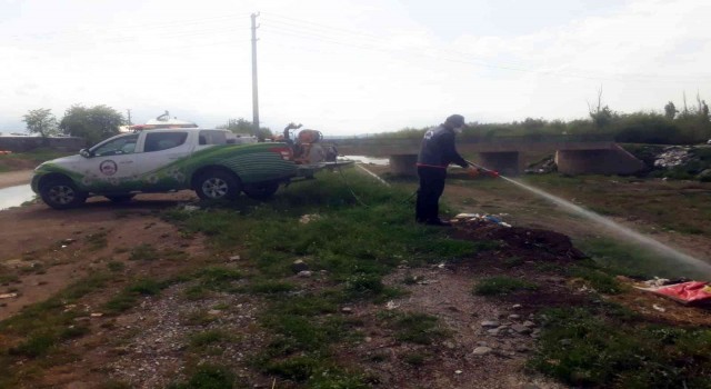 Elazığda ilaçlama çalışmaları bayramda da sürüyor