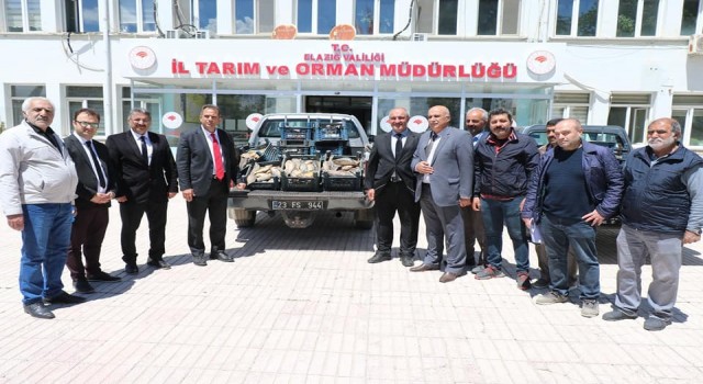 Elazığda 1 ton 150 kilogram kaçak avlanan balık yakalandı