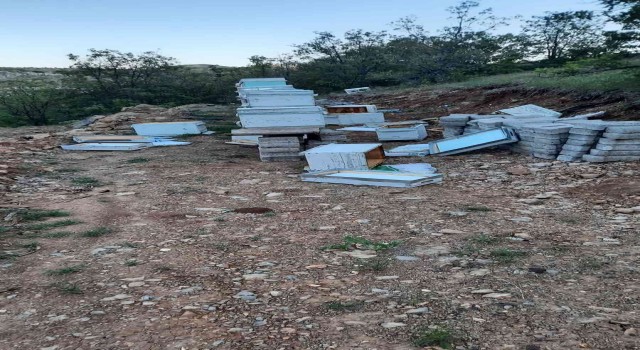 Elazığda ayılar arı kovanlarını parçaladı