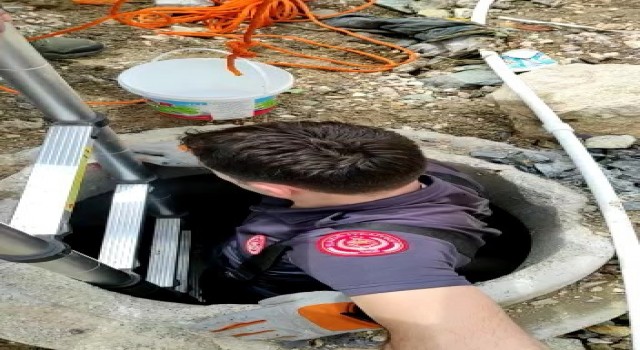 Elazığda su kuyusuna düşen yavru kediyi itfaiye kurtardı