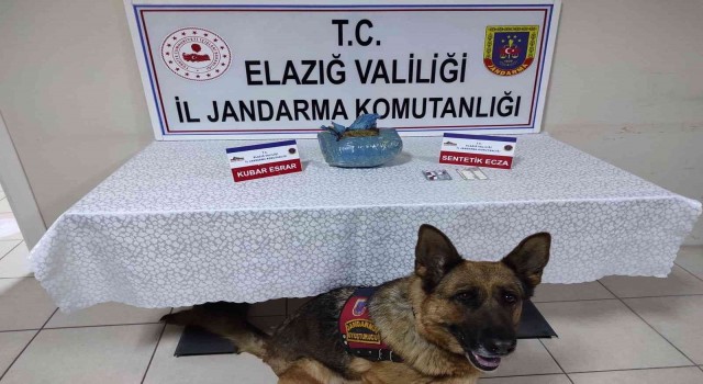 Elazığda uyuşturucu operasyonu: 1 gözaltı