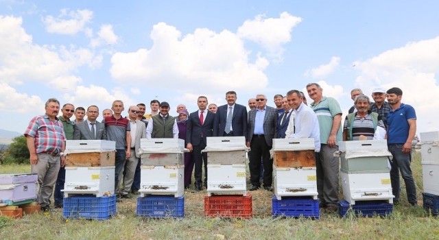 Emette arıcılık canlandırılıyor