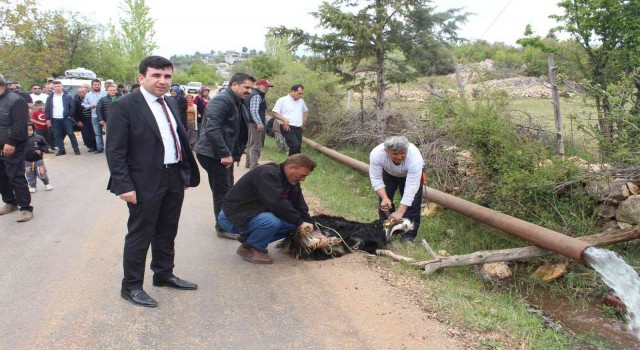 Erdemlide sulama suyu sevinci