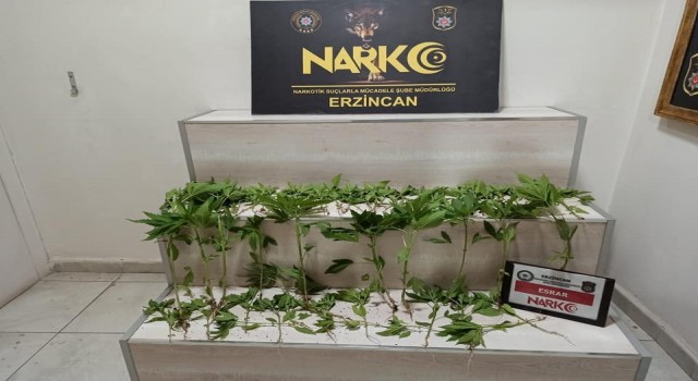 Erzincanda 3 ayrı uyuşturucu operasyonunda 3 kişi tutuklandı