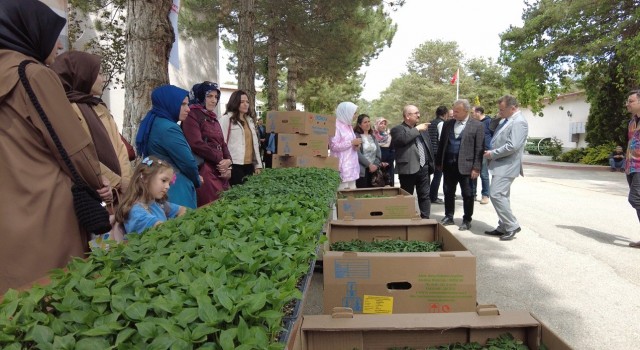 Erzincanda kadın çiftçilere fide desteği