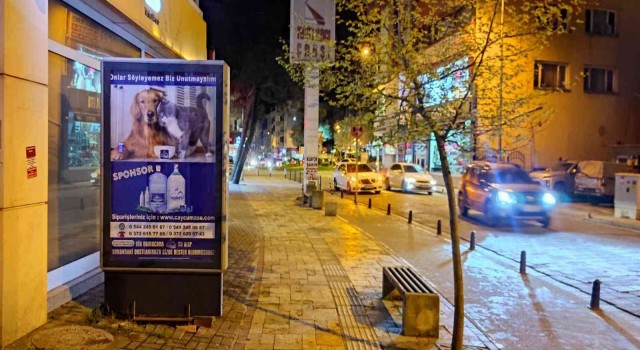 Esnaftan sokak hayvanları için örnek davranış
