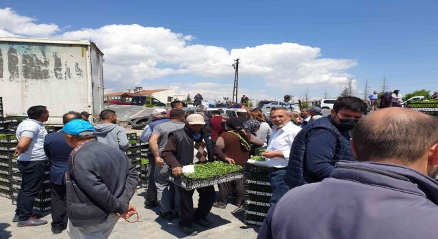 Evrende çiftçiye fidan desteği