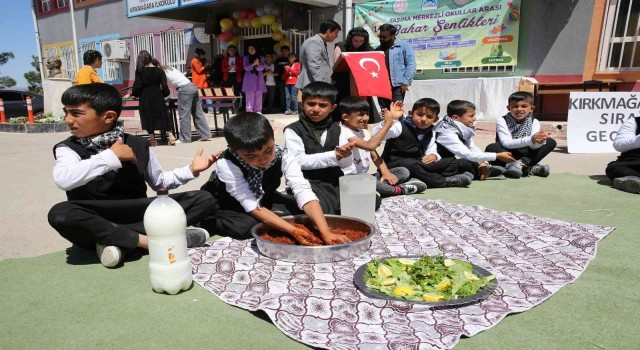 Eyyübiye kırsalında bahar şenliği