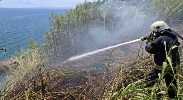 Falezlerde kargılık alanda yangın