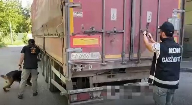 Gaziantepte 10 bin 400 paket kaçak sigara ele geçirildi