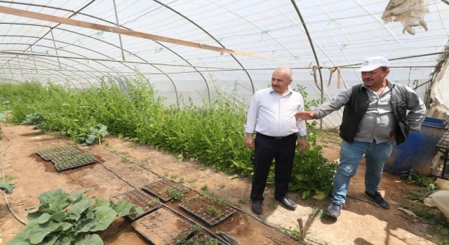 Gebze Belediyesinden çiftçilere 200 bin fide desteği