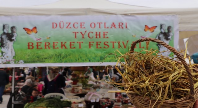 Geleneksel Düzce Otları Bereket festivali başlıyor