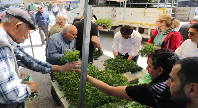 Gemlikte ücretsiz fide dağıtımı başladı