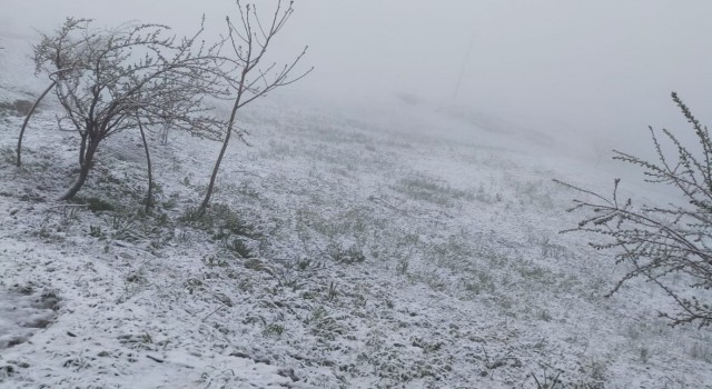 Hakkari köylerinde Mayıs ayında kar sürprizi