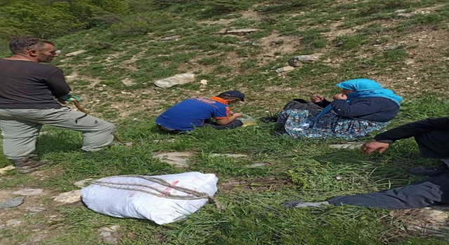 Hakkaride pancar toplarken ayağı kırılan kadın kurtarıldı