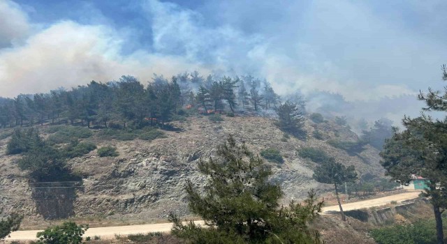 Hatayda orman yangınına karadan ve havadan müdahale