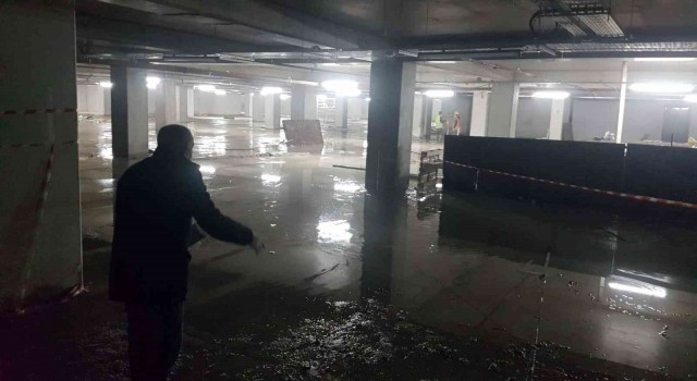 Havalar ısındı, Maltepede sivrisinekle mücadele başladı