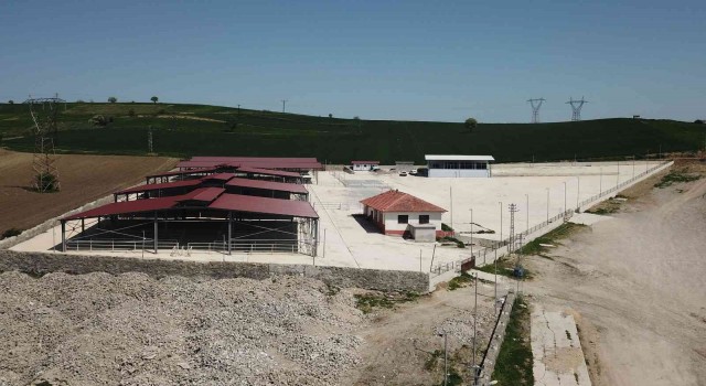 Havza Kapalı Canlı Hayvan Pazarı yarın hizmete girecek