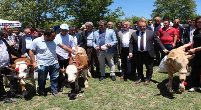 Havzada yayla şenliği