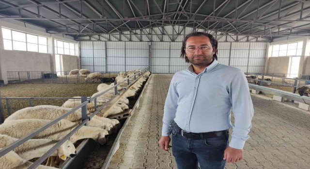 Hedef 3 bin koyun