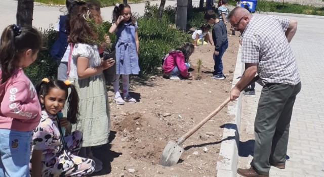 Hisarcık Atatürk İlkokulunda fidan dikim etkinliği