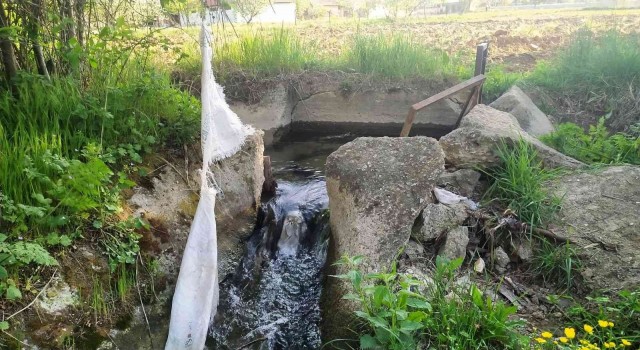 Hisarcıkta 55 yıllık sulama kanalları bakımsızlıktan harap halde
