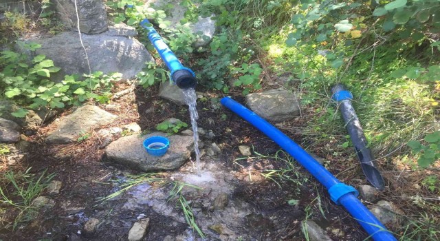 İçme suyu hattından 5 metrelik ağaç kökü çıktı