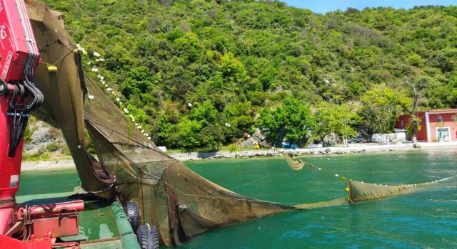 İstanbul Boğazında balık avlamak için kaçak dalyan kurdular