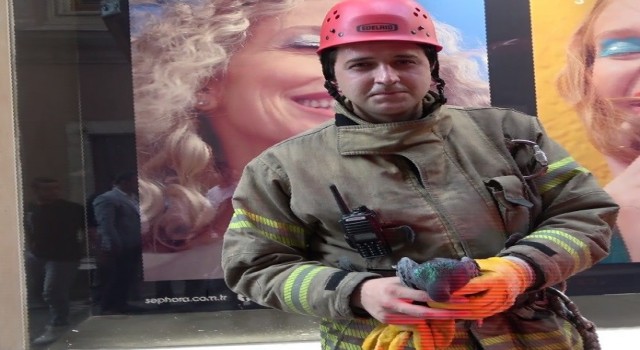 İstiklal Caddesinde fileye takılan kuşu itfaiye kurtardı