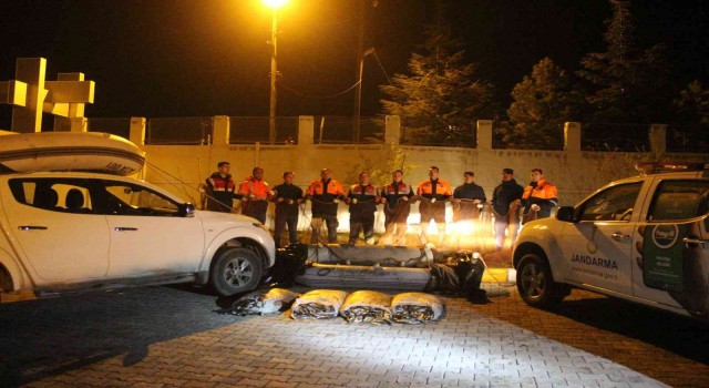Jandarma Vanda kaçak avlanan 3 ton canlı inci kefali ele geçirdi