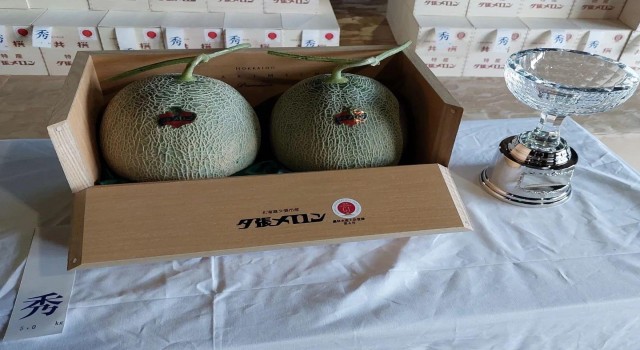 Japonyadaki açık artırmada 2 adet kavun 387 bin liraya satıldı