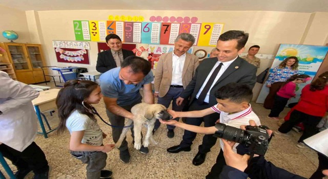 Kabadüzde minik öğrencilere hayvan sevgisi aşılandı