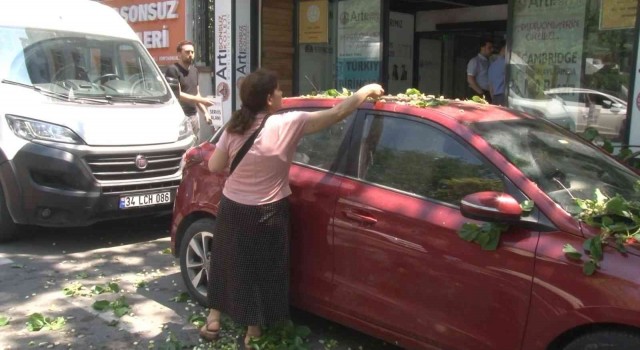 Kadıköyde ilginç anlar: Otomobilin üzerine devrilen ağaçtan dut topladılar