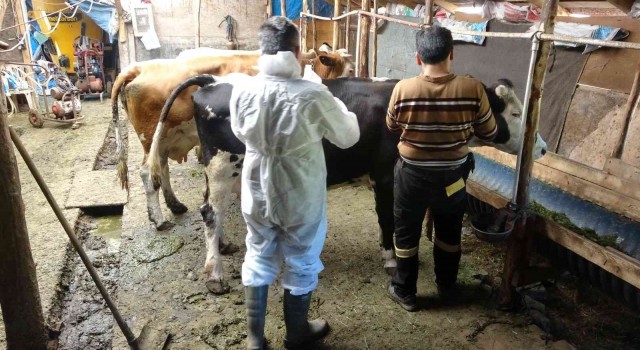 Karabükte keneye karşı önlem