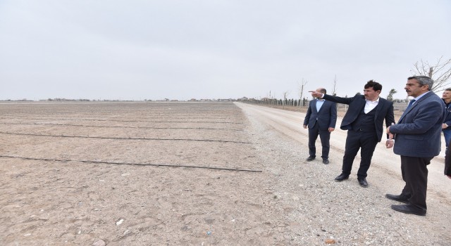 Karataydaki lavanta bahçeleri 400 bin metrekare büyüklüğe ulaştı